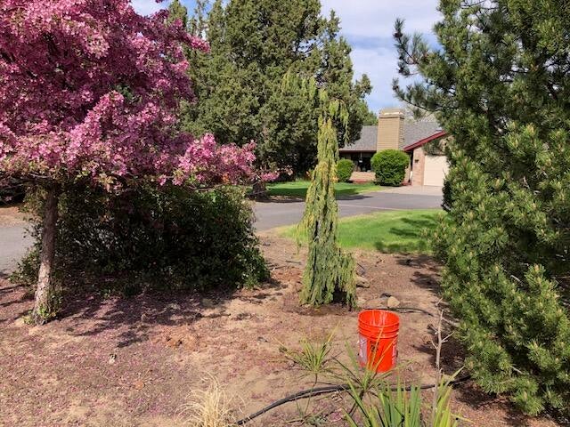61202 Ladera Road Bend, OR 97702 - Photo 5 of 35 IMG_2917