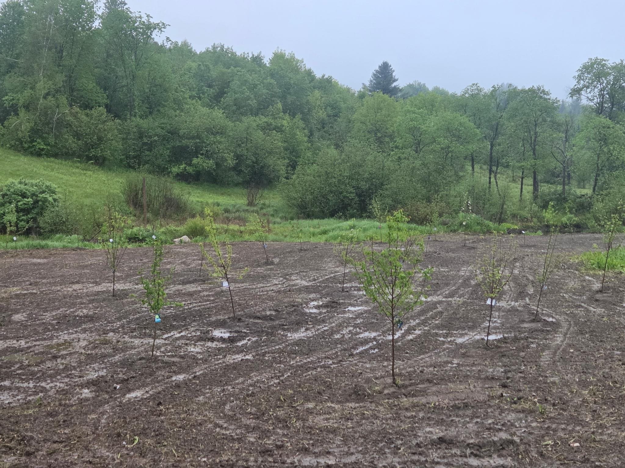 109 River Road Irasburg, VT 05860 - Photo 53 of 53