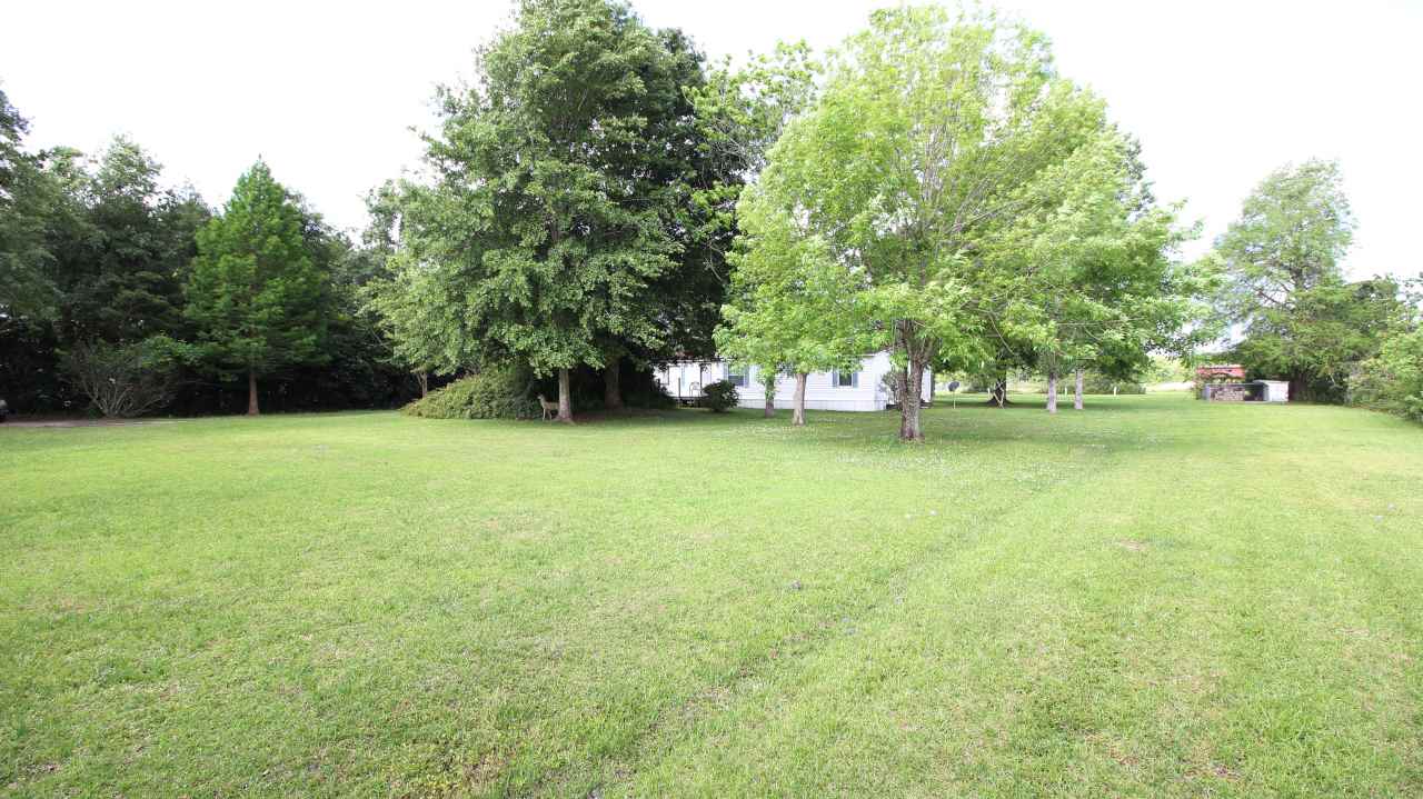 6545 County Road 19 Foley, AL 36535 - Photo 9 of 34