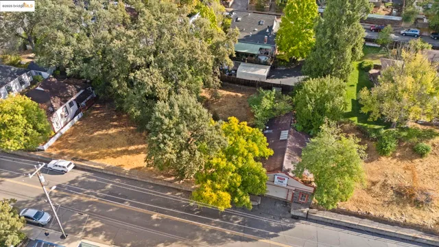 a picture of flowers