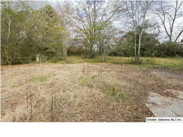 2733 Rocky Ridge Road, Unit 2733 Birmingham, AL 35243 - Photo 5 of 14