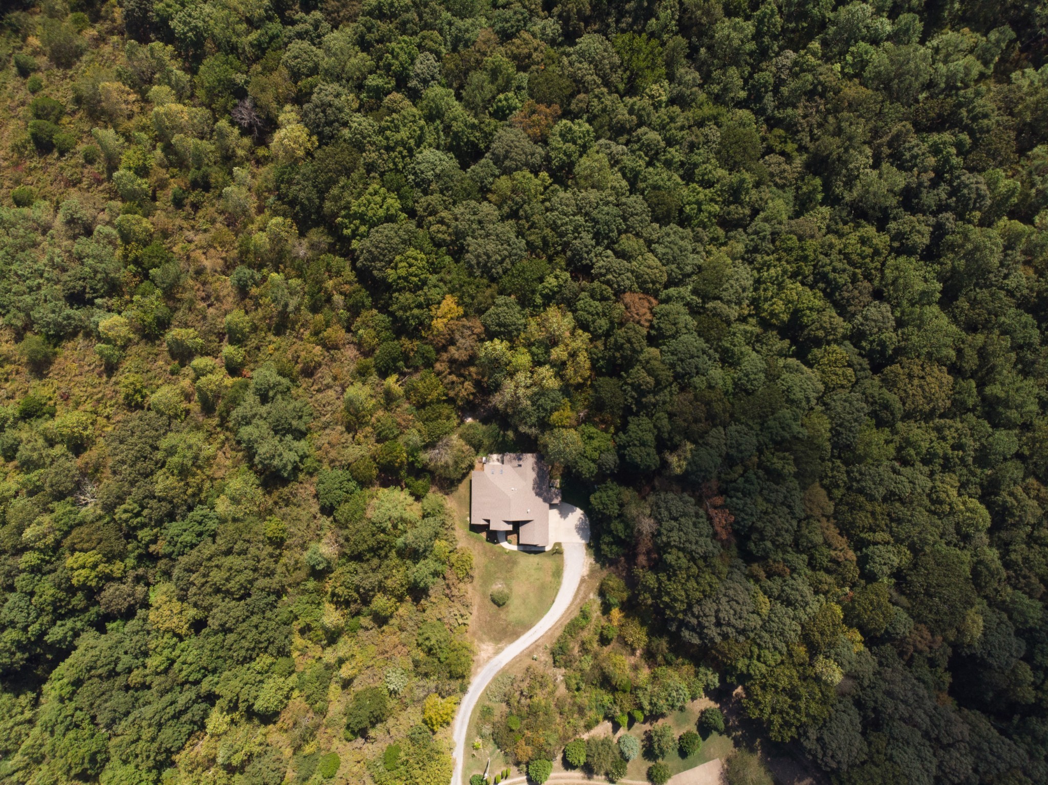 7650 Sleepy Summit Road Fairview, TN 37062 - Photo 30 of 30 view of a yard with a tree