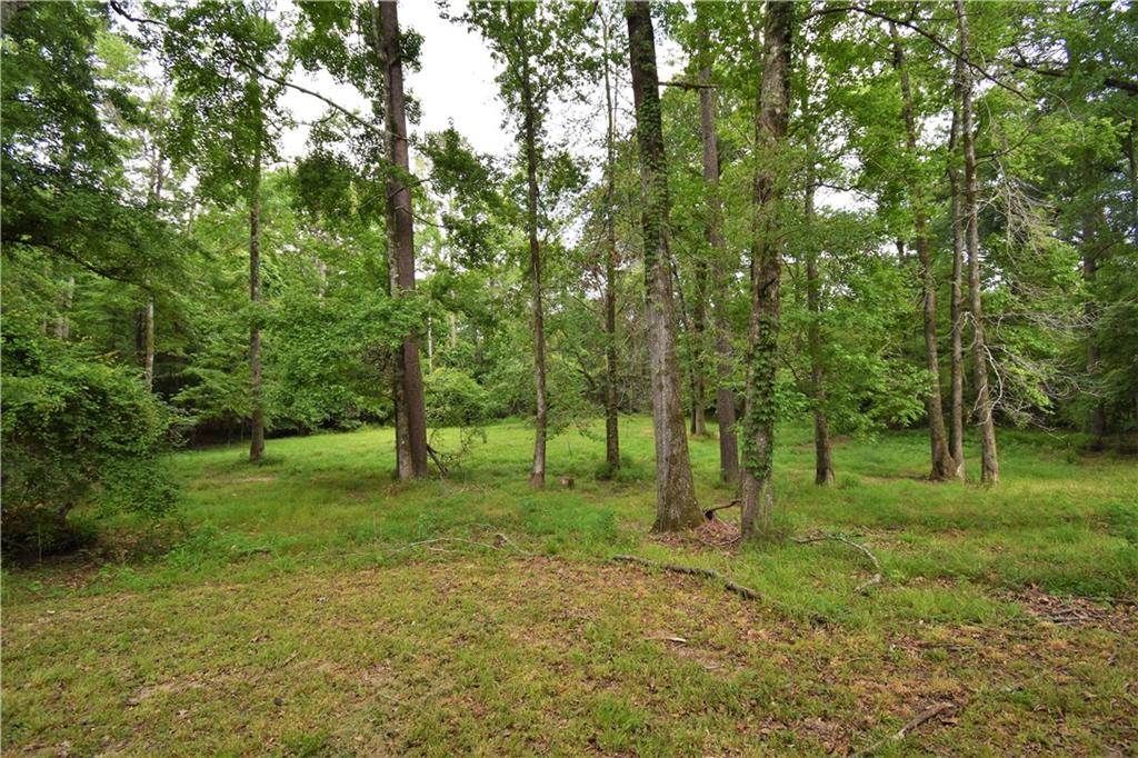 223 C O Brodhead Road Pollock, LA 71467 - Photo 40 of 50 Gallery Image 40
