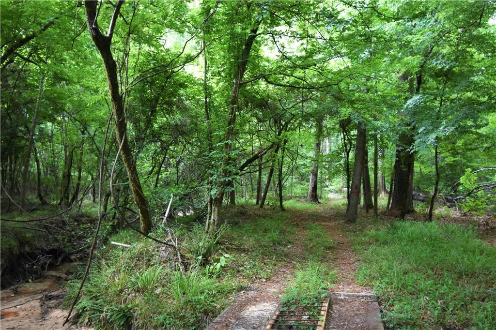 223 C O Brodhead Road Pollock, LA 71467 - Photo 45 of 50 Gallery Image 45