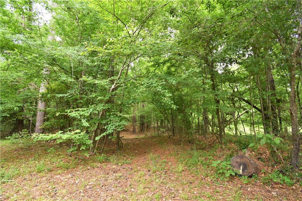 223 C O Brodhead Road Pollock, LA 71467 - Photo 46 of 50 Gallery Image 46