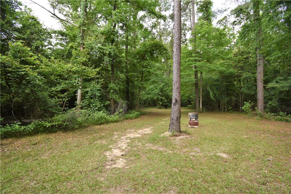 223 C O Brodhead Road Pollock, LA 71467 - Photo 47 of 50 Gallery Image 47