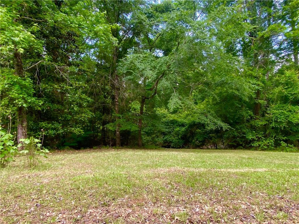 223 C O Brodhead Road Pollock, LA 71467 - Photo 48 of 50 Gallery Image 48