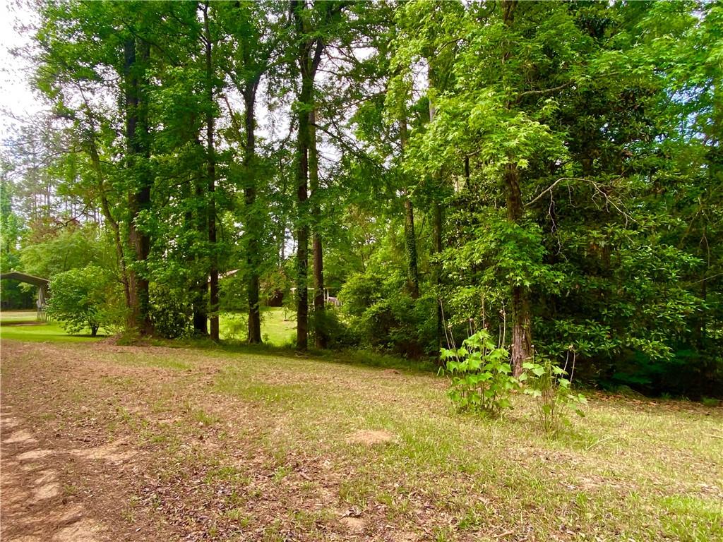 223 C O Brodhead Road Pollock, LA 71467 - Photo 50 of 50 Gallery Image 50
