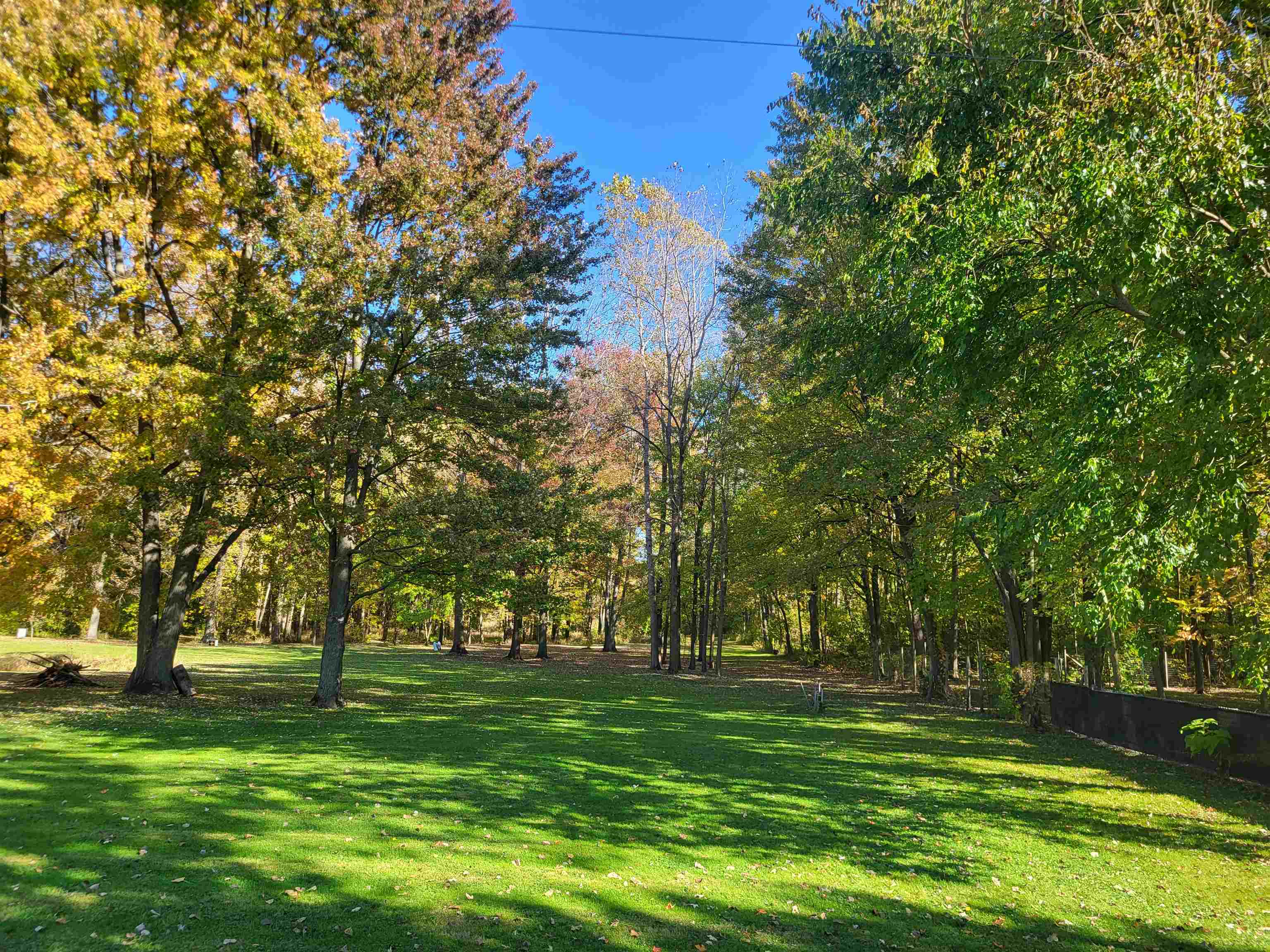 8376 North Lewis Road Mount Morris, MI 48458 - Photo 44 of 44 50158855-f46d5084-f8f6-443e-a414-53b22272ae61.JPG