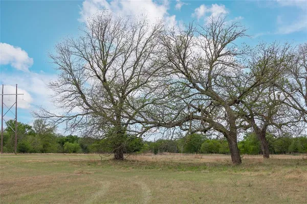 a view of a field with trees