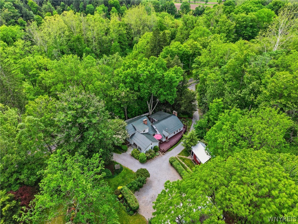 9665 New Oregon Road Eden, NY 14057 - Photo 46 of 48
