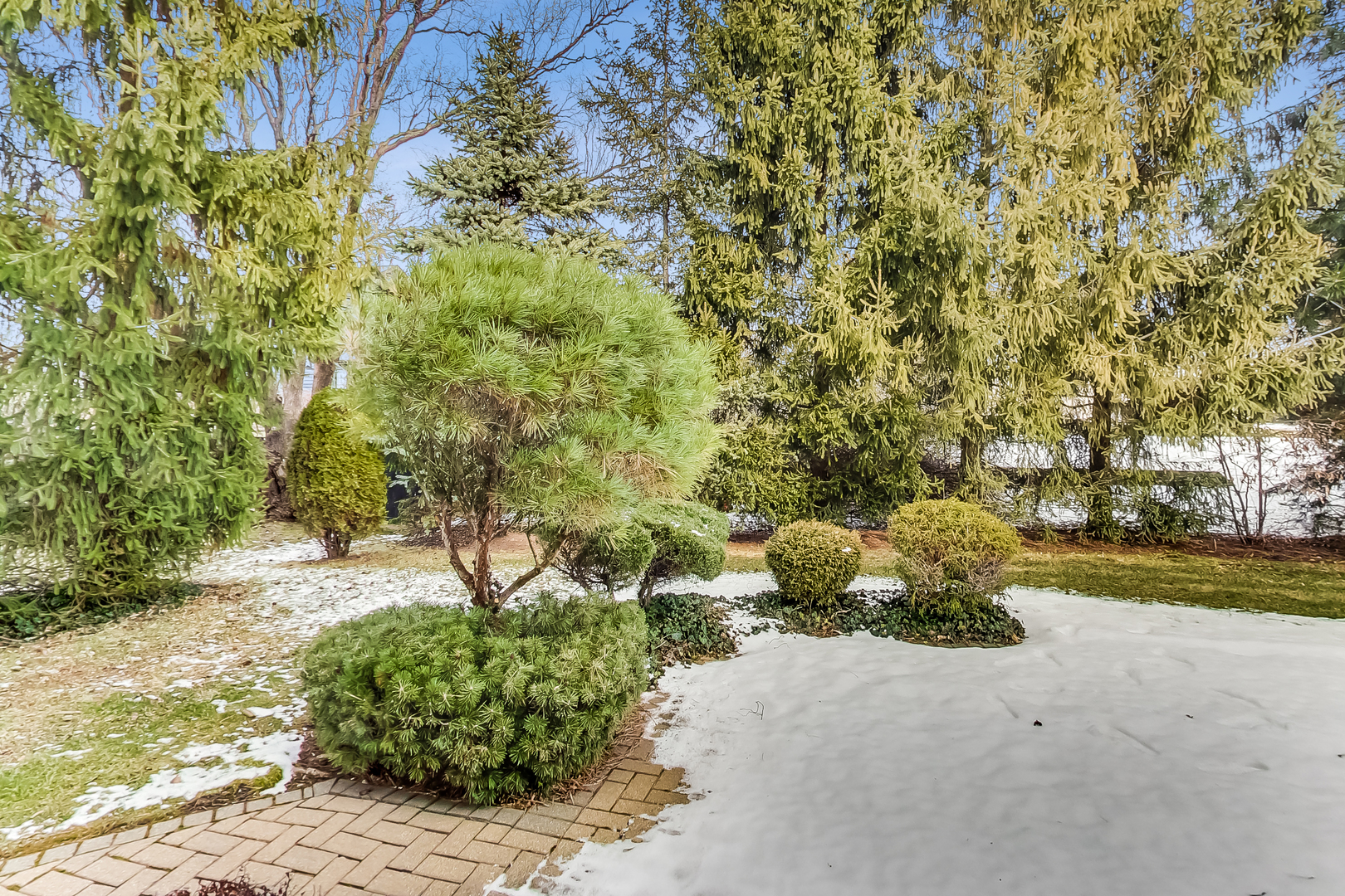 790 Edgemere Road Buffalo Grove, IL 60089 - Photo 39 of 42 a view of a yard with plants and trees