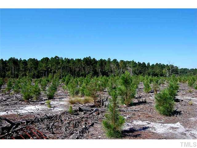 Davis Road Garland, NC 28441 - Photo 3 of 6 Photo 3
