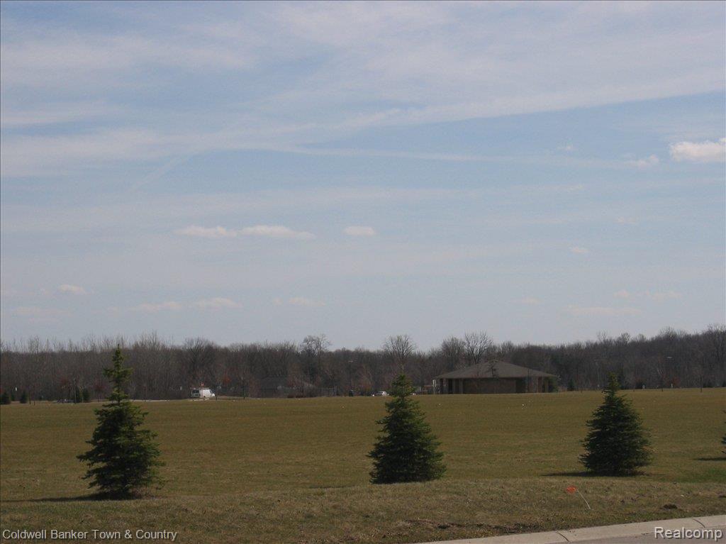 20991 Napier Road Northville, MI 48167 - Photo 25 of 25 IMG_1588