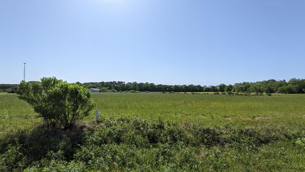 0 Suggs Rd/co Road Headland, AL 36345 - Photo 2 of 5