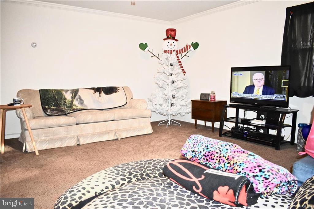 52 Andreas Road Andreas, PA 18211 - Photo 10 of 17 Family Room