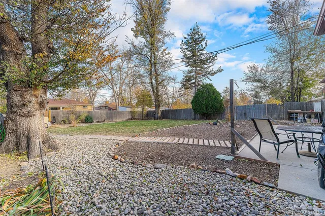 a view of a yard with plants and trees