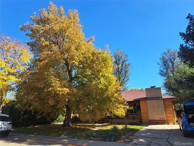 a view of a yard with plants and trees
