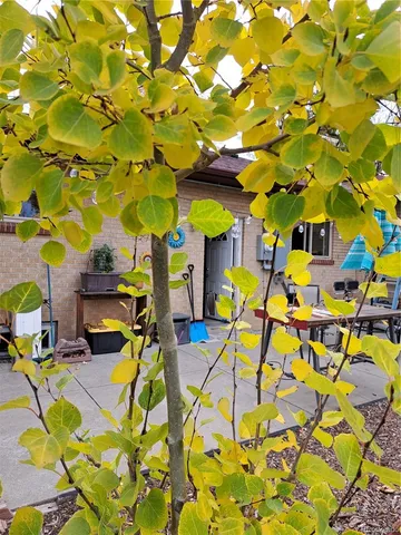 a view of a basket ball court