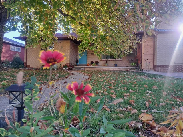 a front view of a house with yard