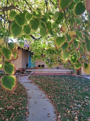 a front view of a house with lots of plants and a tree