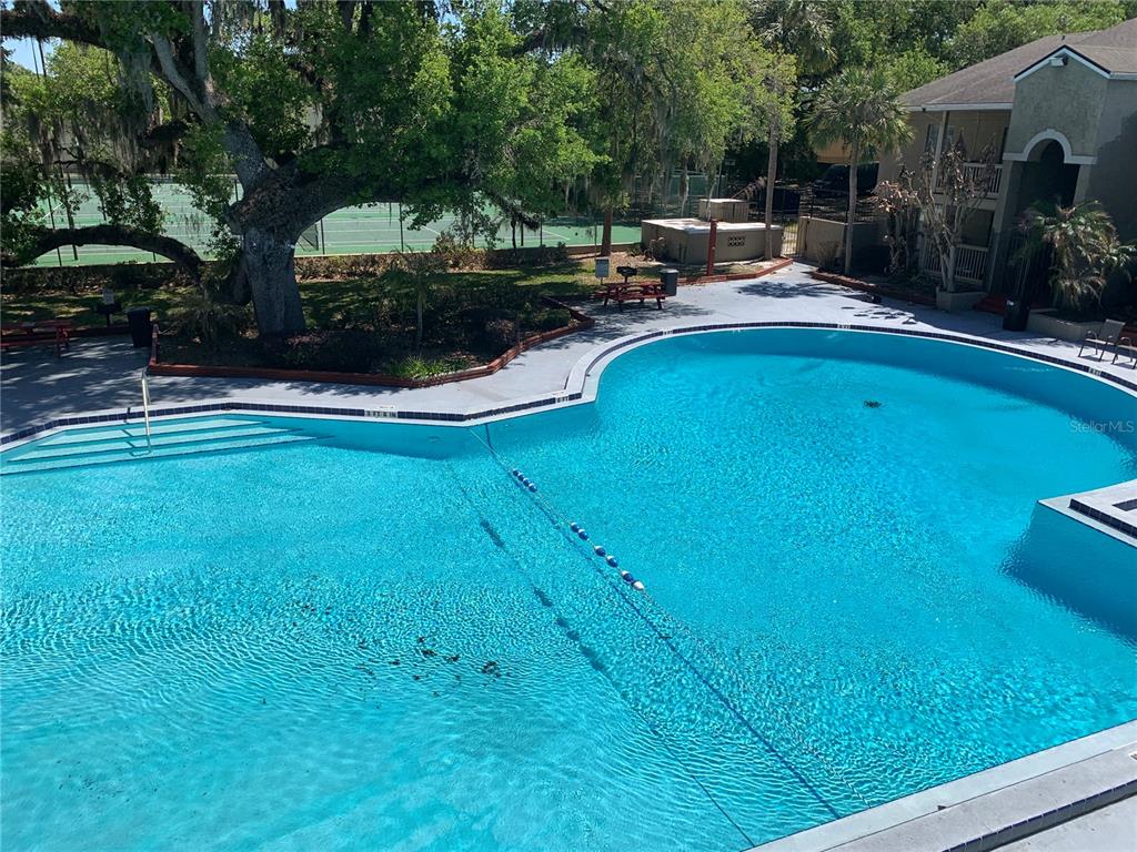 435 Wymore Road, Unit 207 Altamonte Springs, FL 32714 - Photo 14 of 16 a view of swimming pool from a lounge chair