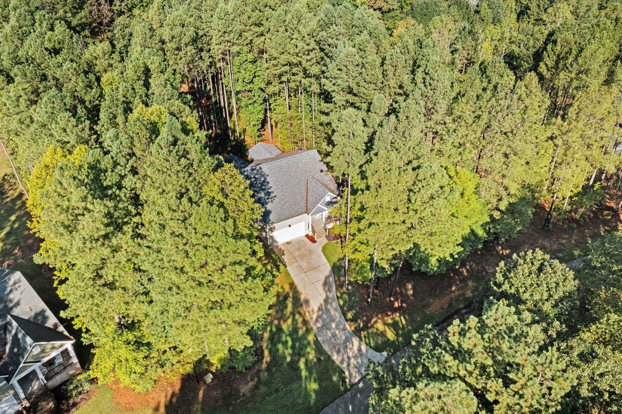 4539 Gresham Drive Oxford, NC 27565 - Photo 38 of 43 a close up of a plant