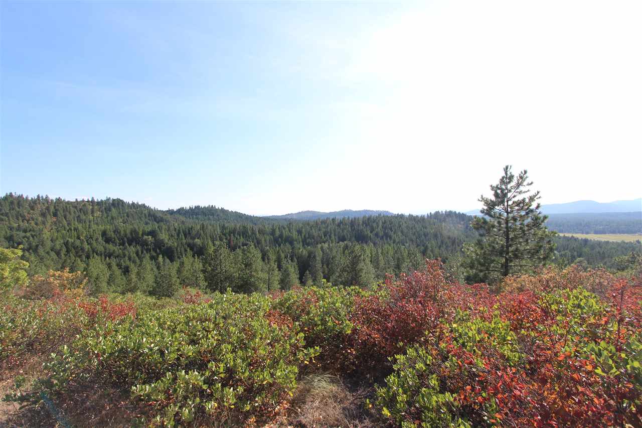 1103 Timber Creek Road Newport, WA 99156 - Photo 19 of 20 Gallery Image 19