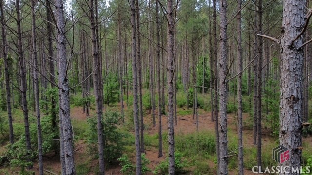 38 Cromer Road Elberton, GA 30635 - Photo 31 of 39