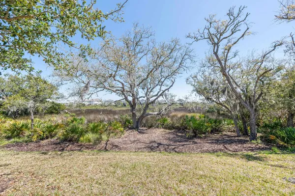 a view of a lake with a tree