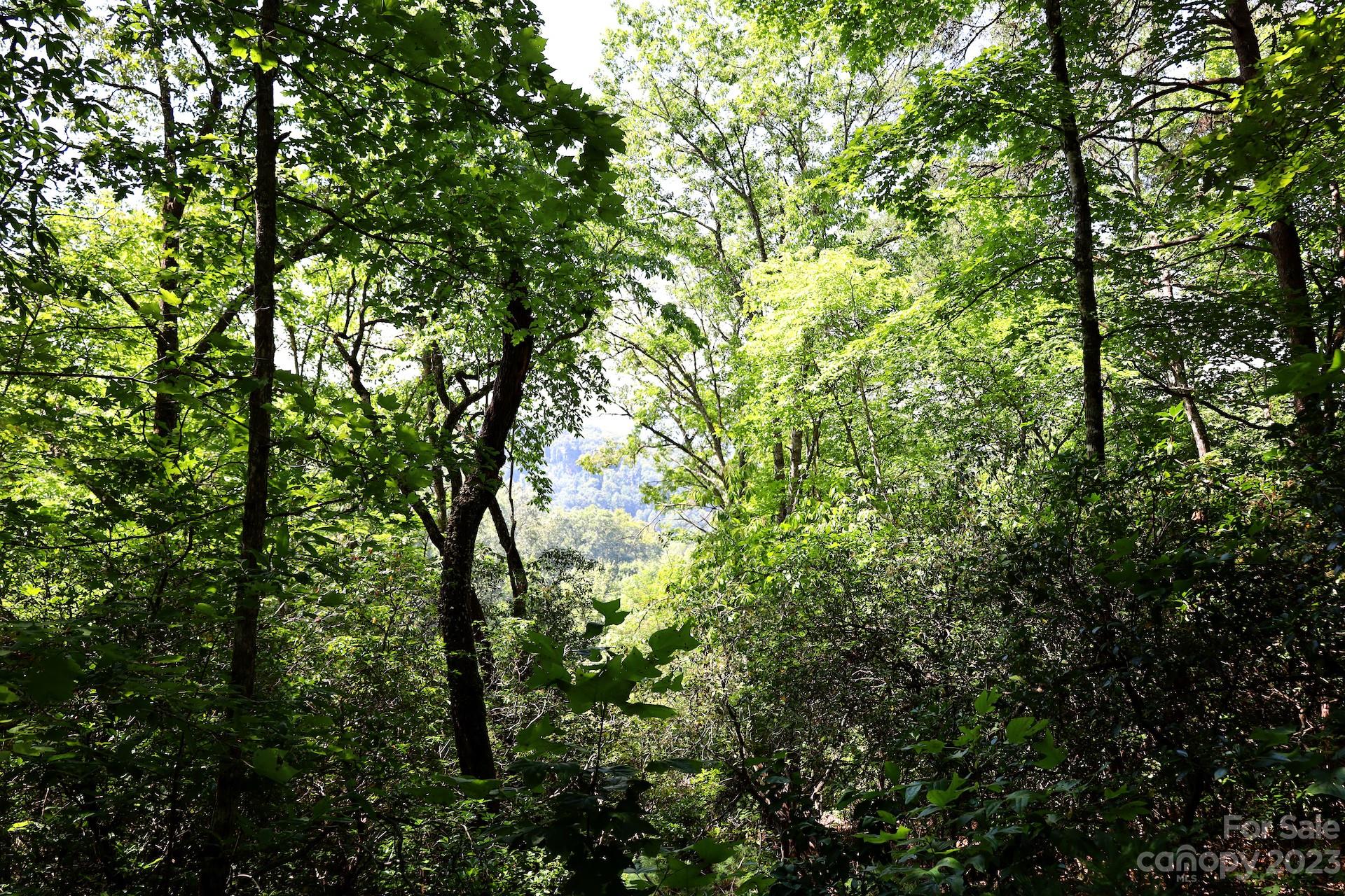 Lot 11 Hooper Cemetery Road Cullowhee, NC 28723 - Photo 5 of 11 Gallery Image 5