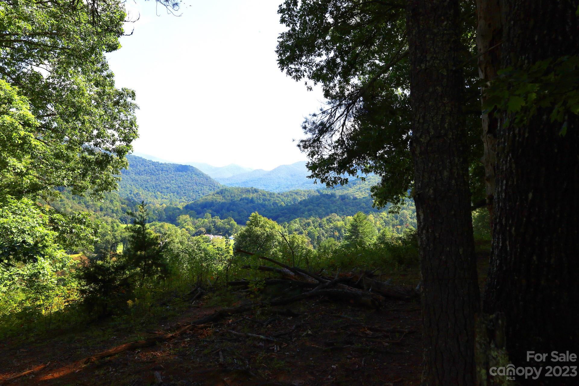 Lot 11 Hooper Cemetery Road Cullowhee, NC 28723 - Photo 6 of 11 Gallery Image 6