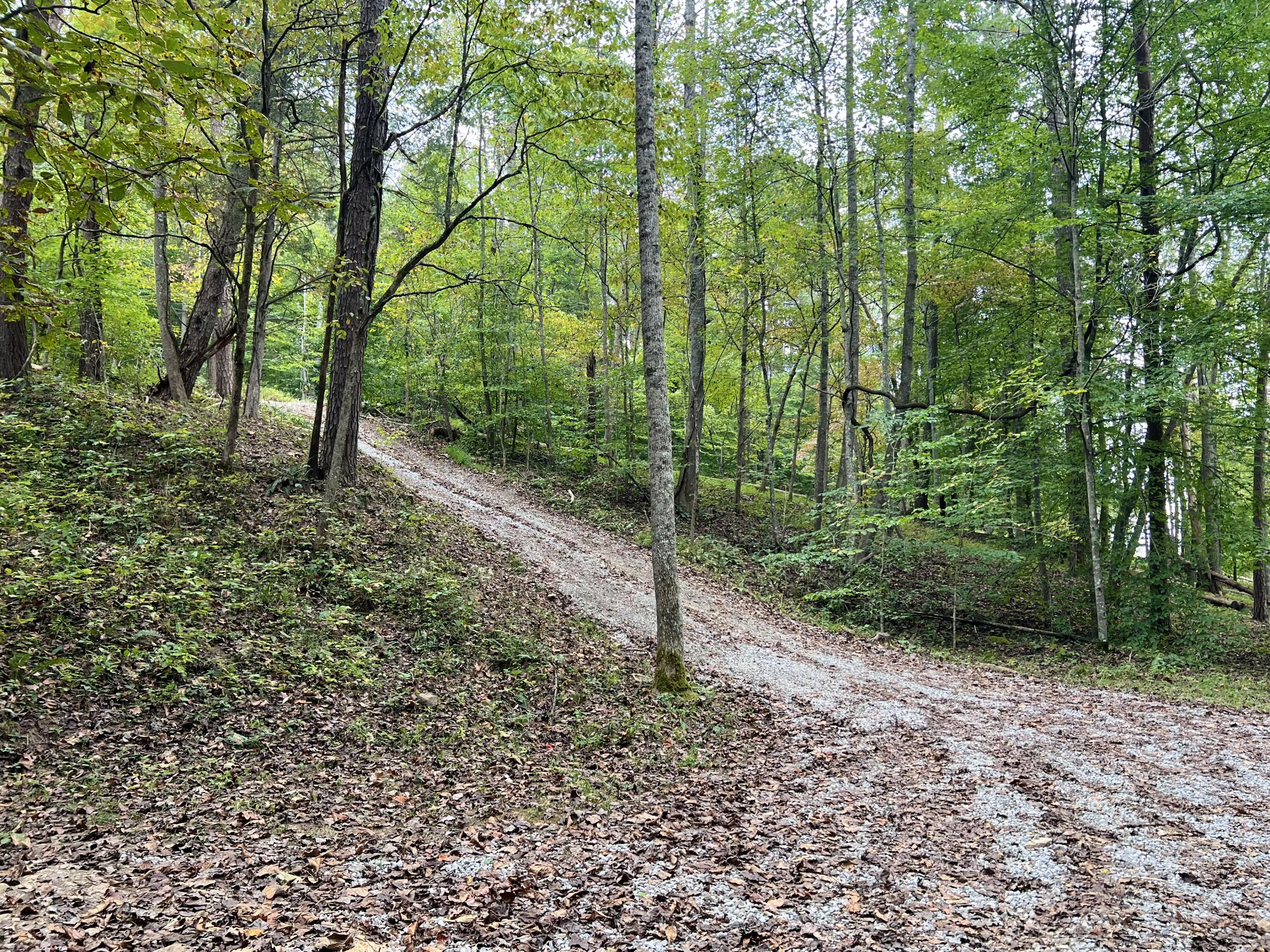 450 Wildwood Road Burnside, KY 42519 - Photo 11 of 38 IMG_3527