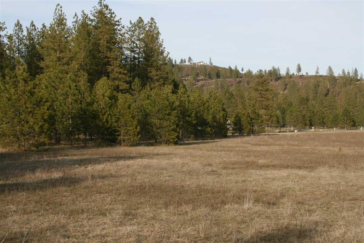 Lot 2 Owens Road Chattaroy, WA 99003 - Photo 1 of 8 Gallery Image 1