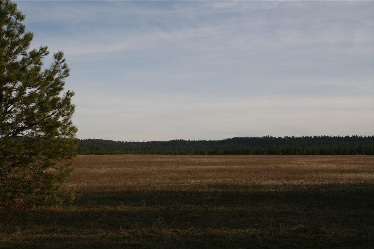 Lot 2 Owens Road Chattaroy, WA 99003 - Photo 3 of 8 Gallery Image 3