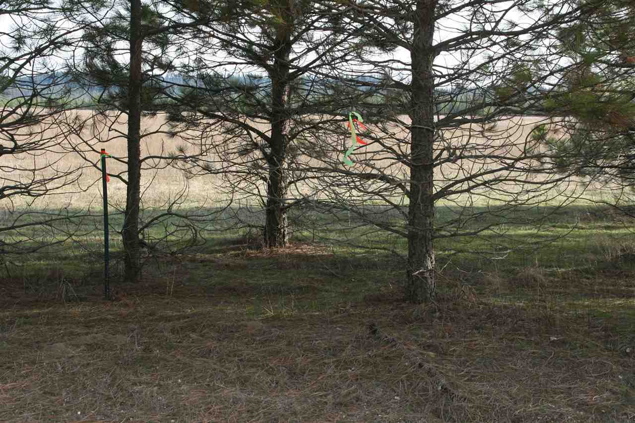Lot 2 Owens Road Chattaroy, WA 99003 - Photo 4 of 8 Gallery Image 4