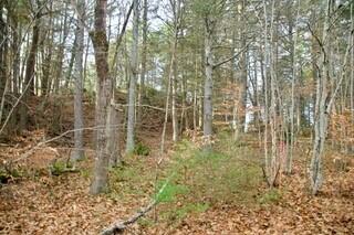 44 West Chops Point Road Bath, ME 04530 - Photo 13 of 15 14