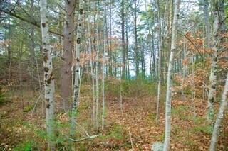 44 West Chops Point Road Bath, ME 04530 - Photo 14 of 15 15