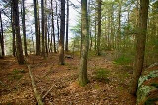 44 West Chops Point Road Bath, ME 04530 - Photo 2 of 15 2