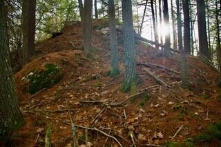 44 West Chops Point Road Bath, ME 04530 - Photo 3 of 15 3