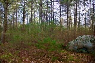 44 West Chops Point Road Bath, ME 04530 - Photo 4 of 15 4