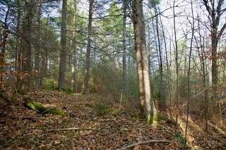 44 West Chops Point Road Bath, ME 04530 - Photo 5 of 15 6