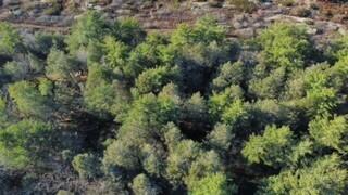 44 West Chops Point Road Bath, ME 04530 - Photo 7 of 15 8