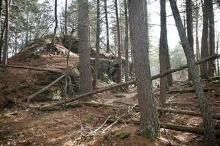 44 West Chops Point Road Bath, ME 04530 - Photo 8 of 15 9