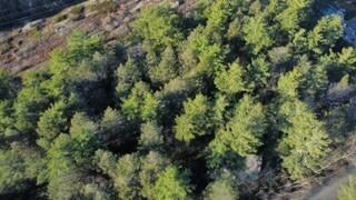 44 West Chops Point Road Bath, ME 04530 - Photo 9 of 15 10