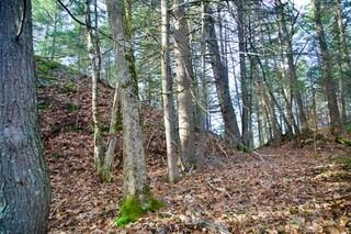 44 West Chops Point Road Bath, ME 04530 - Photo 10 of 15 11