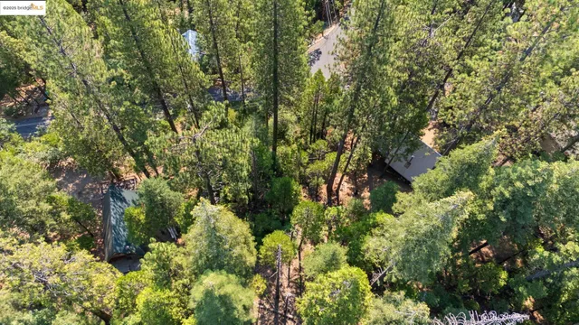 an aerial view of residential house with outdoor space and trees all around