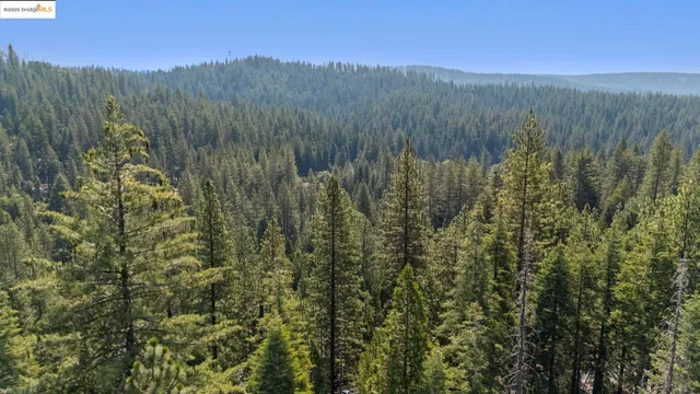 a view of mountain and trees