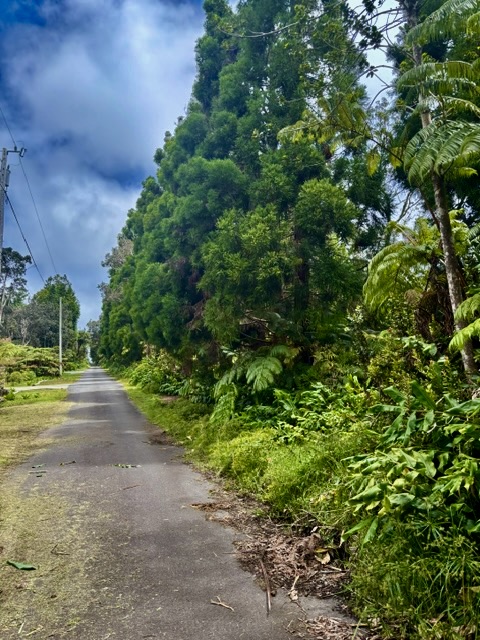 3 Haunani Road Volcano, HI 96785 - Photo 27 of 27 Gallery Image 27
