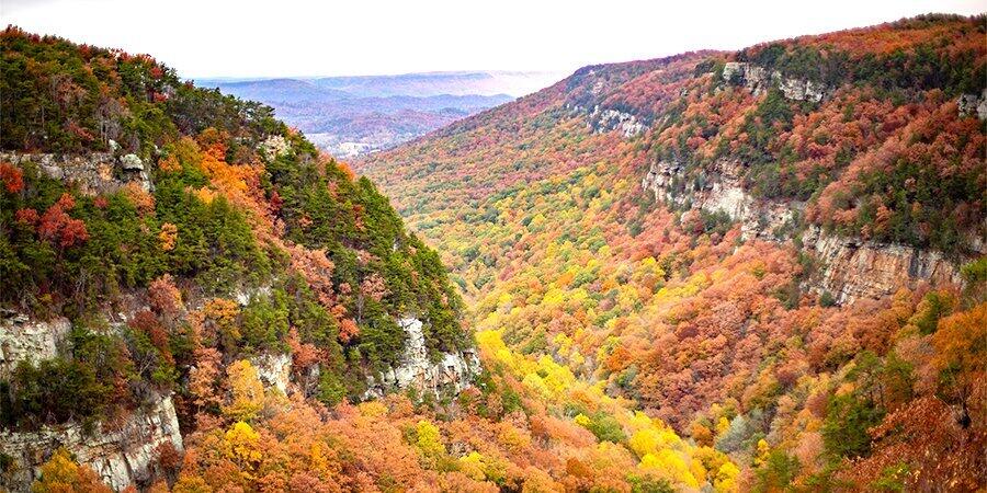 308 Cloud Road Trenton, GA 30752 - Photo 37 of 48 Cloudland Canyon State Park 1